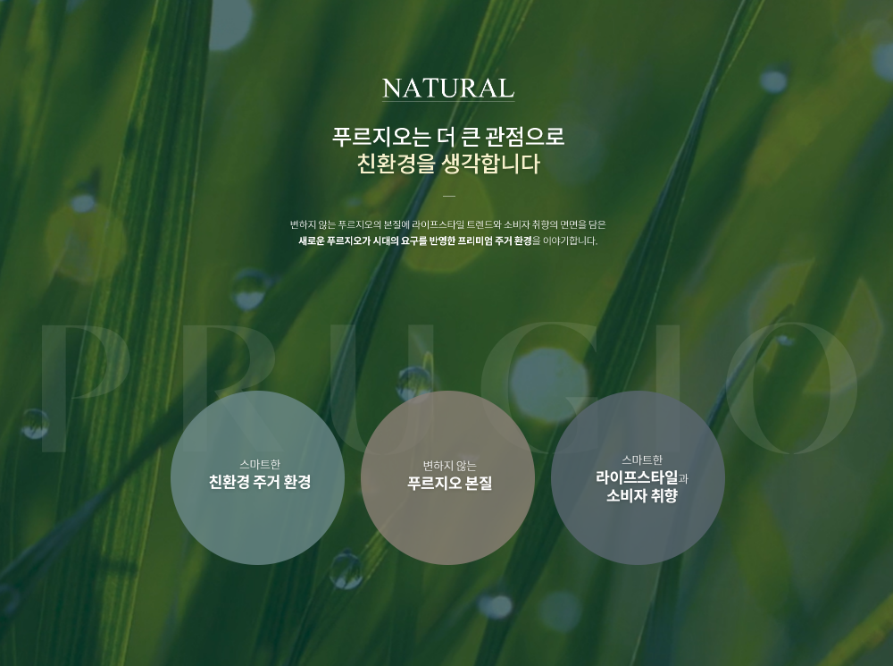 이미지명
